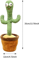 LED Musical Dancing & Mimicry Cactus Toy - The Trend Hype Store